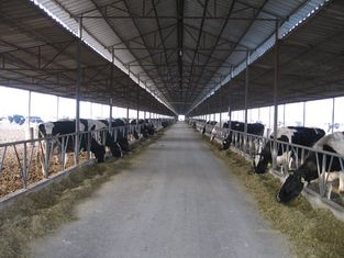 Porcellana mucca/cavallo crescere Pre-costruiti dei sistemi dell'inquadratura d'acciaio con i pannelli del tetto fornitore